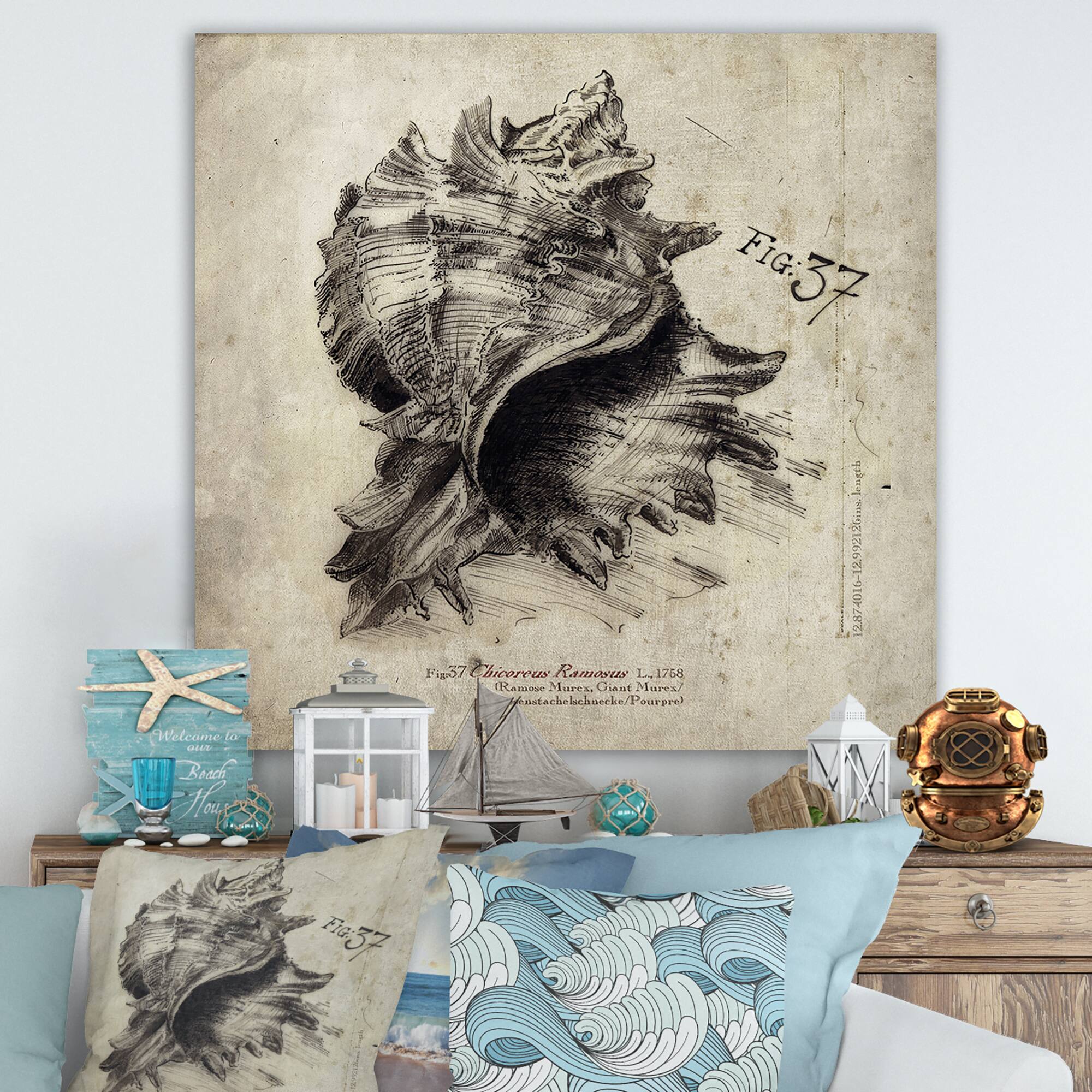 Designart - Sea Shell Old Style Sketch I